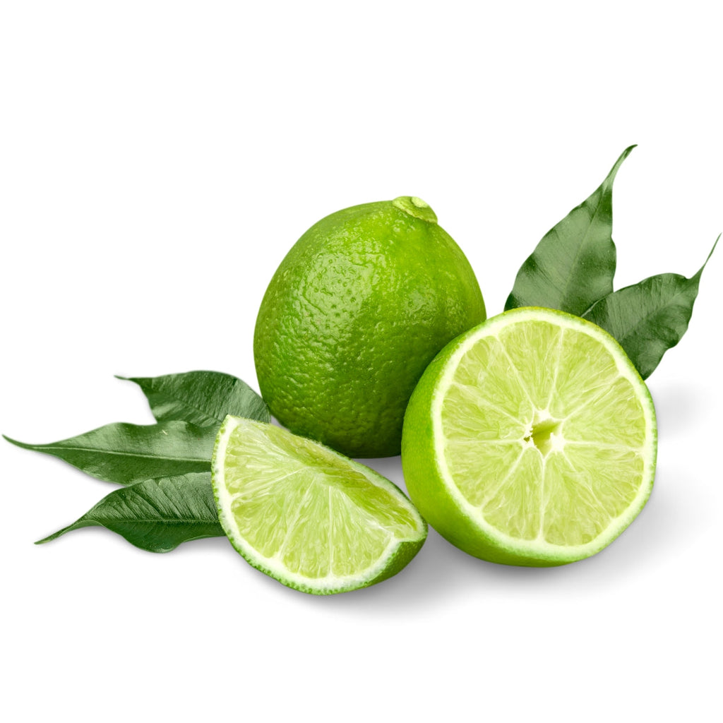 doTERRA Lime Essential Oil Botanical